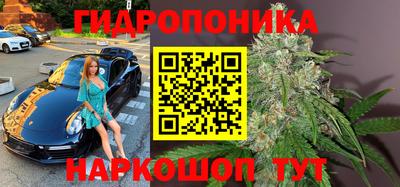 PSILOCYBIN Беслан