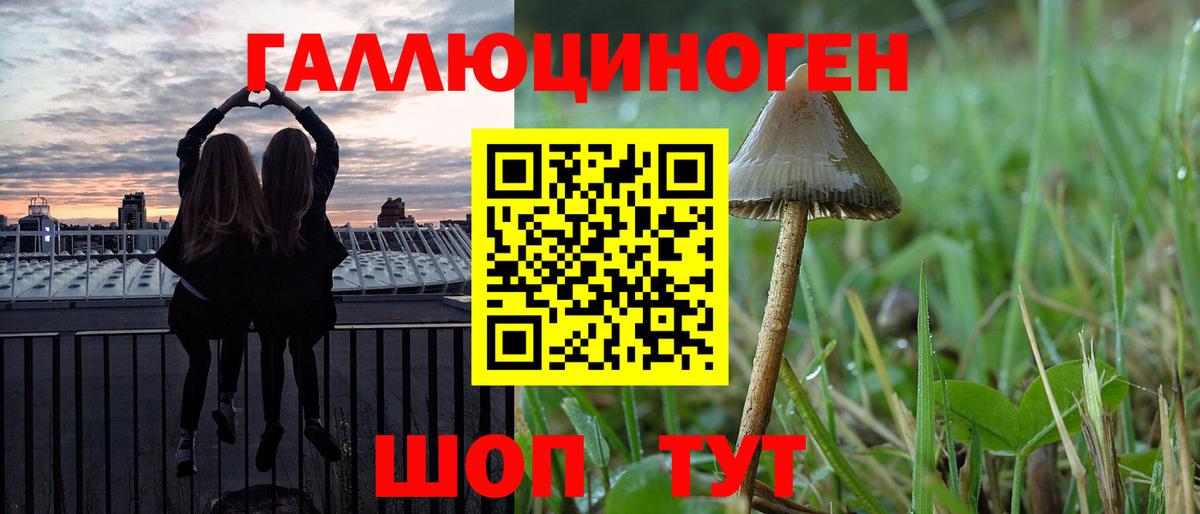 купить закладку  Вход с VPN  Братск  Галлюциногенные грибы Magic Shrooms 
